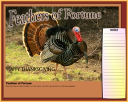Feathers.jpg